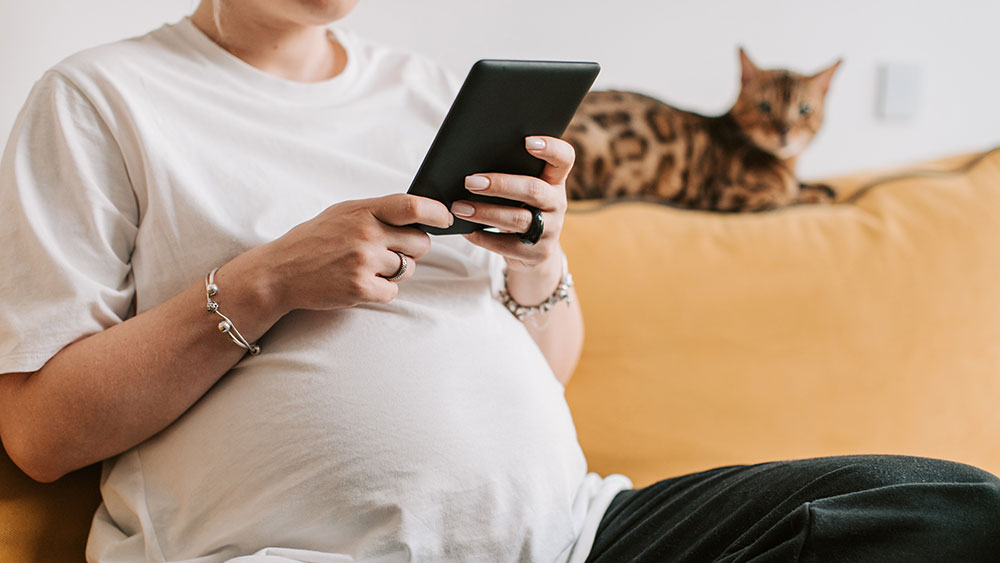 Billede til nyheden Hvad du bør vide om graviditet og orlov